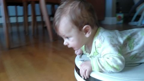 Watch these Babies Cruise on Roombas