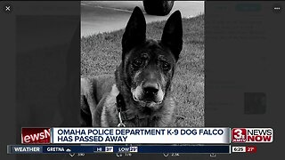 Omaha Police mourn loss of beloved K9