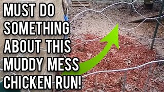 Fixing a Muddy Chicken Run - Ann's Tiny Life and Homestead
