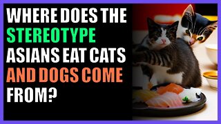 Where does the stereotype Asians eat cats and dogs come from?