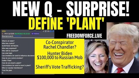 New Q - Surprise! Define Plant, Chandler, Sheriffs ~ Situation Update with Pre Trump