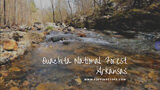 Ouachita National Forest | Creekside Camping near Albert Pike Area