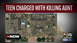 14-year-old arrested in murder of aunt in Sun Lakes