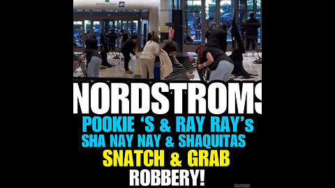 FLASH MOB LOOTS LOS ANGELES NORDSTROM IN WILD SMASH AND GRAB STYLE ROBBERY!