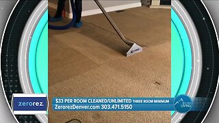 Your Carpet Has Never Been This Clean // Zerorez