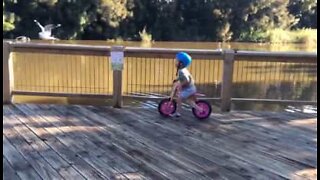Liten pojke jagar fåglar med sin springcykel