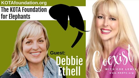 Debbie Ethell LIVE on CoExist with Coe Lewis