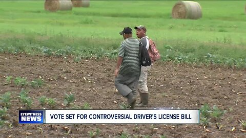 Driver's licenses for undocumented immigrants?