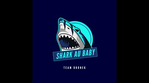 BabySharkDance Remix