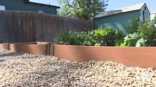 Boise woman brings horticultural therapy to City Light Home For Women and Children