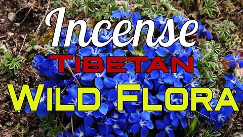 Tibetan Incense Wild Flora