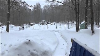 Another Heavy Snow Storm Blankets The Off Grid Homestead
