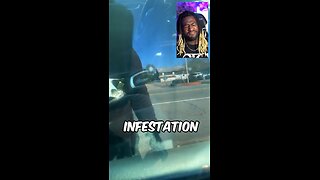 Roach Infestation In Car