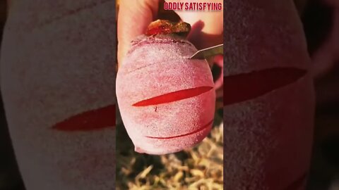 Best Oddly Satisfying Video for Stress Relief #Shorts #oddlysatisfying #relaxing #asmr