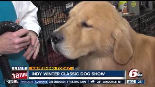 26th Annual Indy Winter Classic Dog Show