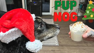 Christmas Dog Treats!! Pup-NOG!