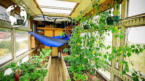 Box Truck Converted into MOBILE GREENHOUSE