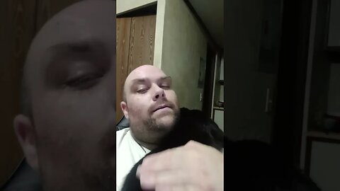 kitty cuddling owner #kittycat #shortsvideo #shortsfeed #kitty #cat #youtubeshorts #blackcat