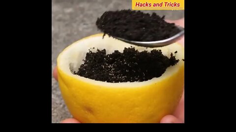 GARDENING HACKS YOU'LL WANT TO KNOW, Useful Gardening Hacks || Easy Ways to Grow And Collect Food