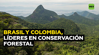Brasil y Colombia lideran la lucha contra la deforestación