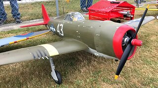 Top Flite Giant Scale P-47 Razorback WWII Warbird RC Plane At Warbirds Over Whatcom