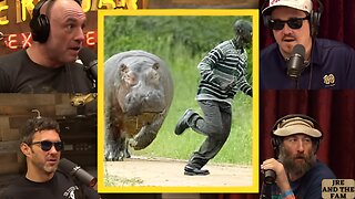 JRE Hippos Are TERRIFYING!