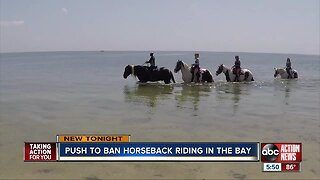 Push to ban horseback riding in the bay