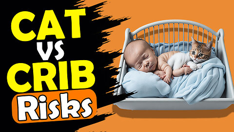 Baby's Haven or Hazard? The Truth About Cats in Cribs