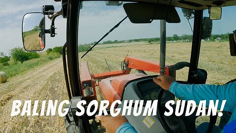 Baling first field of Sorghum Sudan. Repairing the hay rake.