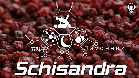 🉐 Schisandra Chinensis: Traditional Chinese Medicine's Nootropic for Hacking Yin and Yang