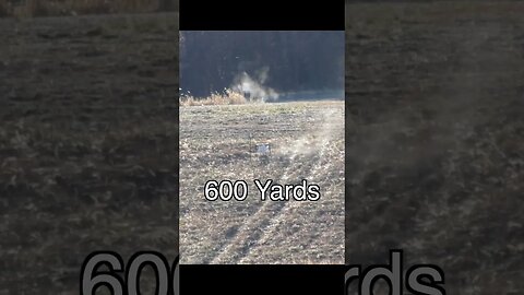 WOW bullet in flight at 600 yards!
