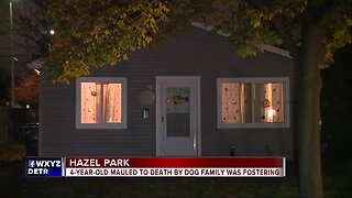 4-year-old boy mauled to death by dog in Hazel Park