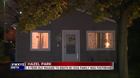 4-year-old boy mauled to death by dog in Hazel Park