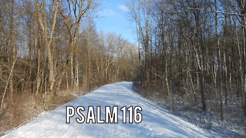 Psalm 116 (Luther 1912)