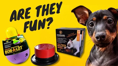 Review of the Starmark Dog Treat Dispensing Bob-A-Lot and Roulette Wheel