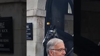 She reached out to grab the reins guard shouts dont touch the reins #horseguardsparade