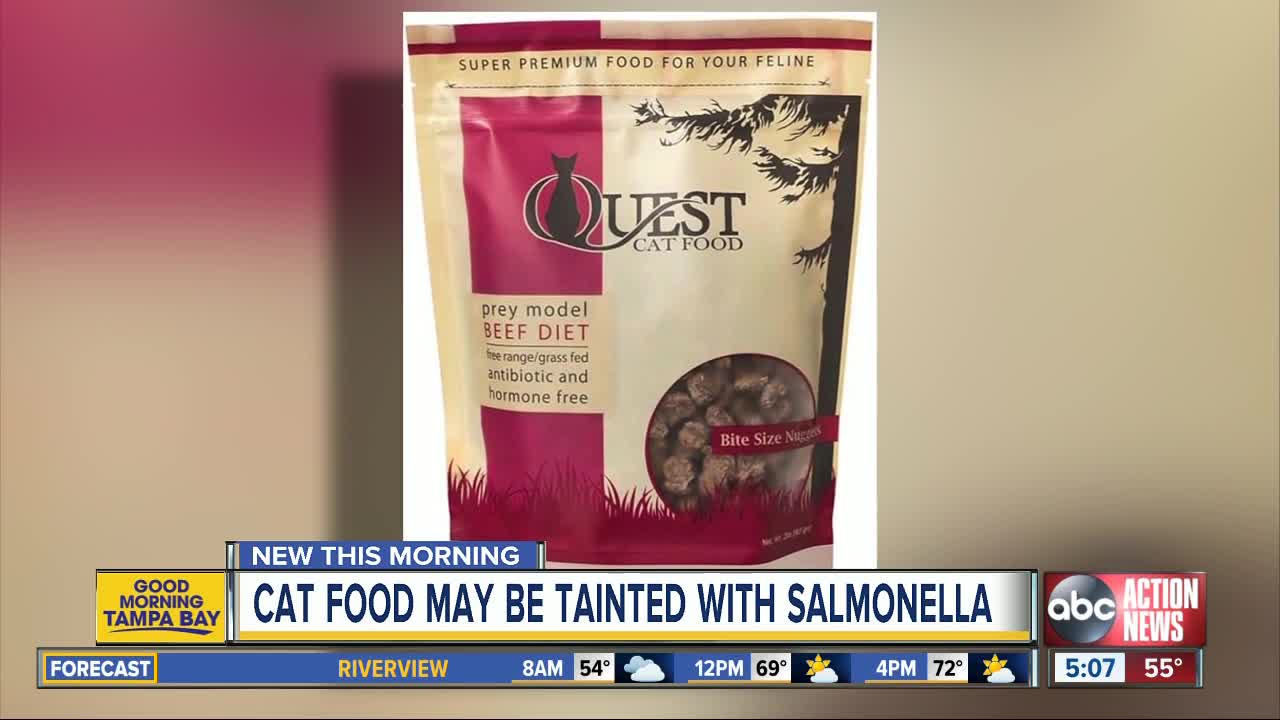 Cat food sold nationwide recalled over salmonella concern