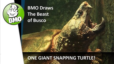 BMO Creative Crypto Video - Beast Of Busco