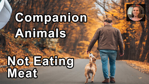 Having Companion Animals When You Don't Want To Buy Meat For Them To Eat - Hope Bohanec