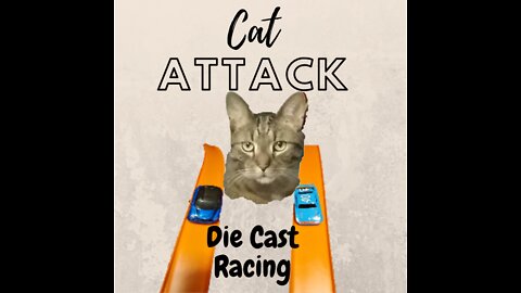 CAT ATTACKS DIECAST CARS ( 4 Drag Races Between 2 Diecast toy cars But with a Cat chasing it )