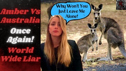 Amber's Problems Down Under! Australia Going After Amber Heard for PERJURY! Johnny Back in Court?