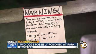 Two dogs possibly poisoned at park
