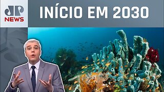 ONU anuncia tratado inédito para preservação dos oceanos; Marcelo Favalli analisa