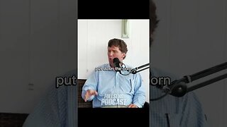 Tucker Carlson Loves Tates Message #motivation #shorts