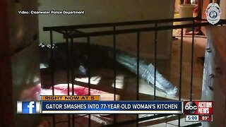 Unwanted Visitor: 11-foot alligator breaks into Florida homeowner's kitchen