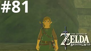 Completing All Shrines| The Legend of Zelda: Breath of the Wild #81