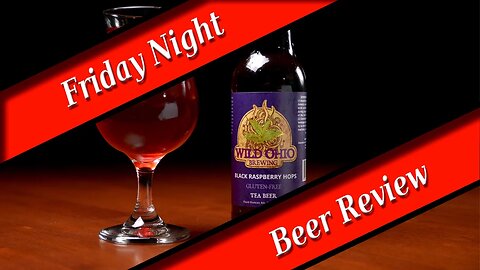 FRIDAY NIGHT BEER REVIEW - Wild Ohio Brewing - Black Raspberry Hops #ohiocraft
