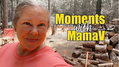 Moments with MamaV Episode #1 - Tiny Cabin Plans, Single Woman, Building a Tiny House, in the Woods