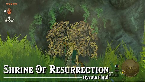 We Weren't Expecting THIS In The Shrine Of Resurrection.. | TOTK