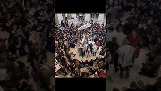 Pro-Palestinian protestors take over the US Capitol